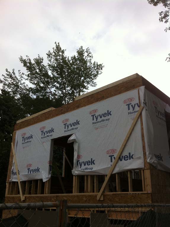 Project name