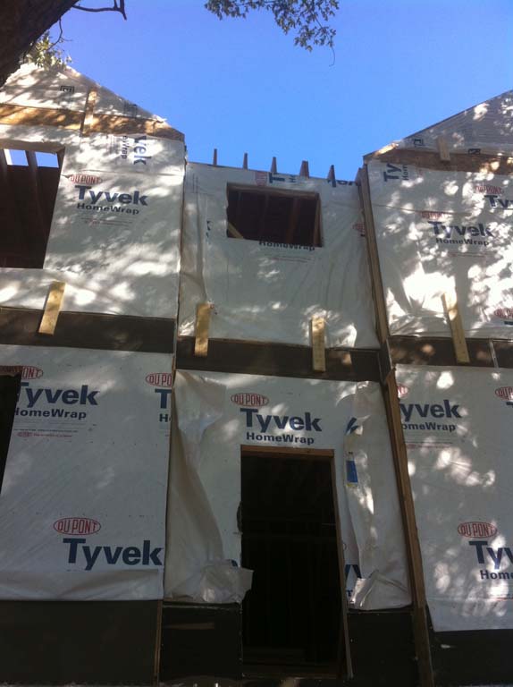 Project name